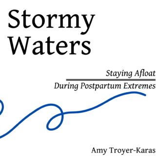 Cover of Stormy Waters with black text and a blue squiggly line